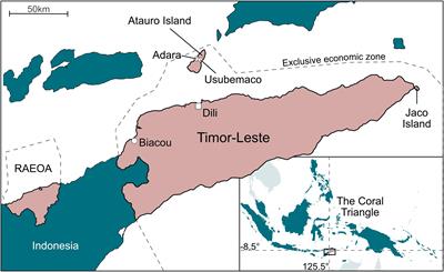 Evaluating the Fit of Co-management for Small-Scale Fisheries Governance in Timor-Leste